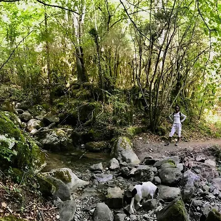 Apartment Casa De Piedra Siglo Xviii *