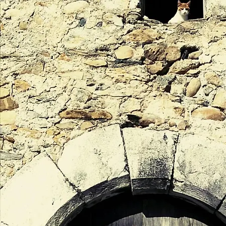 Casa De Piedra Siglo Xviii