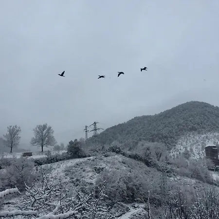 Διαμέρισμα Casa De Piedra Siglo Xviii Badain