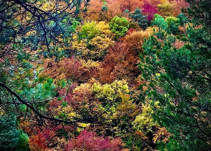 Casa De Piedra Siglo Xviii Badain