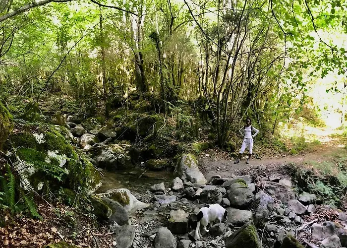 Apartment Casa De Piedra Siglo Xviii *